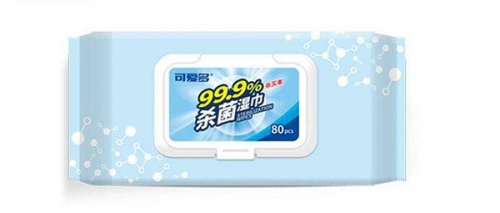 91免费观看视频